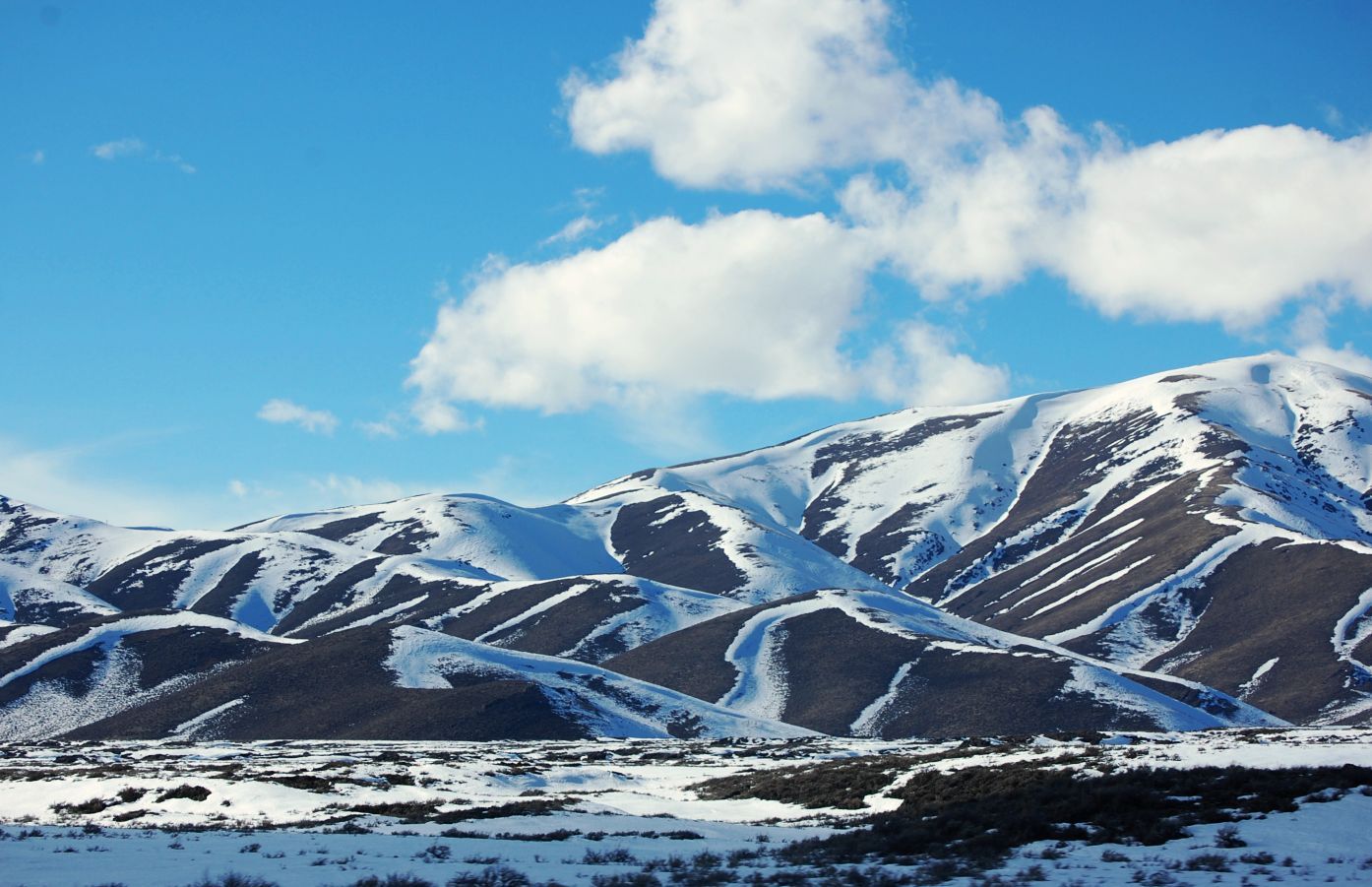 Snowy scene